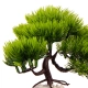 Kruger Meier Plant Pine Bonsai - roślinka sztuczna-2126088