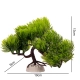 Kruger Meier Plant Pine Bonsai - roślinka sztuczna-2126090