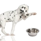 Lupipets Dog Bowl - metalowa miska dla psa 0,9L-2126875
