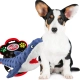 Pet Nova zabawka pluszowa - rekin piszczący 32cm-2127948