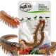 ProBugs Eco-Fresh Scolopendra Centipede 15 x 2pcs - świeże skolopendry 15 saszetek-2128221