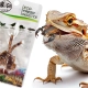 ProBugs Eco-Fresh Scorpion 15 x 3pcs - świeże skorpiony 15 saszetek-2128291