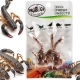 ProBugs Eco-Fresh Scorpion 15 x 3pcs - świeże skorpiony 15 saszetek-2128293