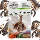 ProBugs Eco-Fresh Scorpion 15 x 3pcs - świeże skorpiony 15 saszetek-2128294