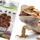 ProBugs Eco-Fresh Silkworm 15g - świeże larwy jedwabnika-2128305