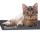 Resun Heating Mat 8W - mata grzewcza PVC 15x20cm-2129108