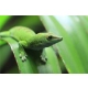 Repti-Zoo Terrarium AK 21x21x15-2129440