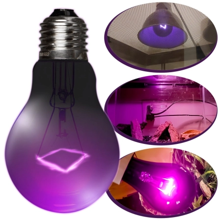 Repti-Zoo Night Heat Bulb 75W - żarówka grzewcza nocna-2130517