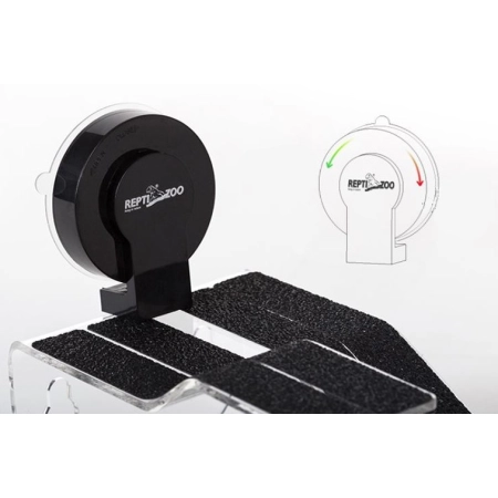 Repti-Zoo Rampa + Wyspa dla żółwi L-2131788