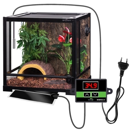 Terrario Amantea 2.0 10W - mata grzewcza z termostatem-2134574