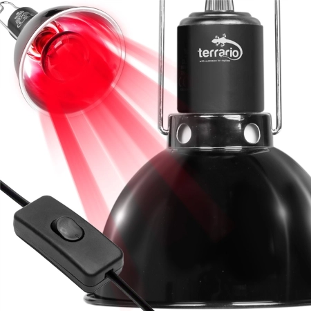 Terrario Biosphere Light - oprawka na żarówki grzewcze-2134777