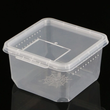 Terrario Insect Box Compact - plastikowe terrarium 12x12x7cm-2134804