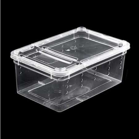Terrario Terrarium Faunarium 26x18x13cm-2134820