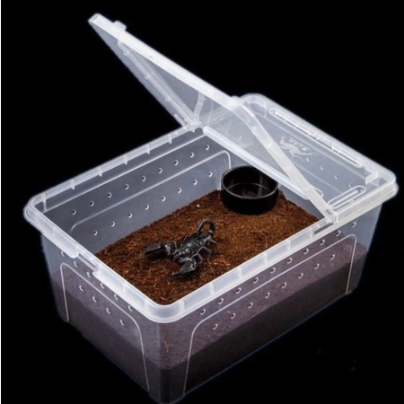 Terrario Terrarium Faunarium 26x18x13cm-2134825