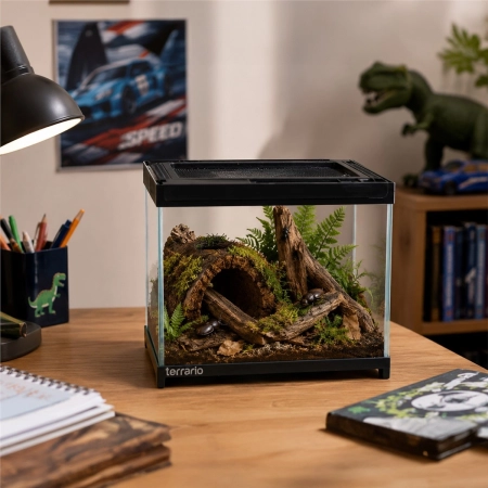 Terrario Frevo Clear Terrarium 20x20x17cm - terrarium szklane-2135096