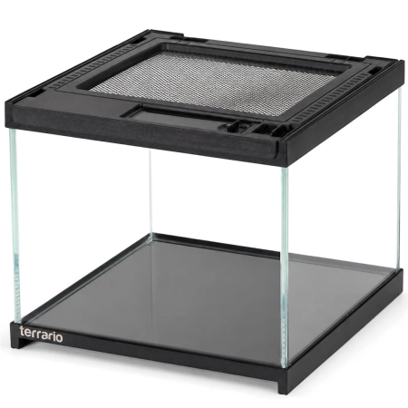 Terrario Frevo Clear Terrarium 20x20x17cm - terrarium szklane-2135108
