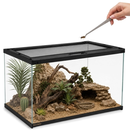 Terrario Frevo Clear Terrarium 50x30x30cm - terrarium szklane-2135131