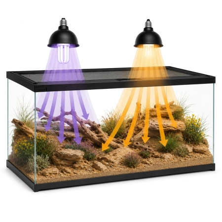Terrario Frevo Clear Terrarium 50x30x30cm - terrarium szklane-2135132
