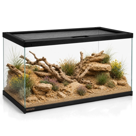 Terrario Frevo Clear Terrarium 50x30x30cm - terrarium szklane-2135136