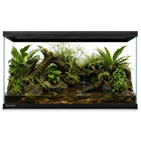Terrario Frevo Clear Terrarium 50x30x30cm - terrarium szklane-2135140