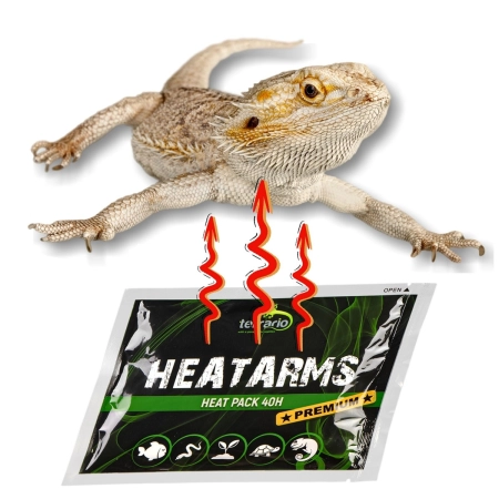 Terrario Heatarms Heat Pack 40H - ogrzewacz do transportu zwierząt - 1000 sztuk-2135353