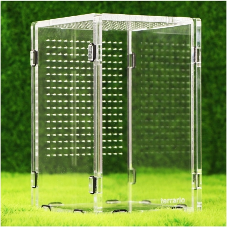 Terrario Mantis Area L - terrarium akrylowe dla modliszek i owadów-2135735