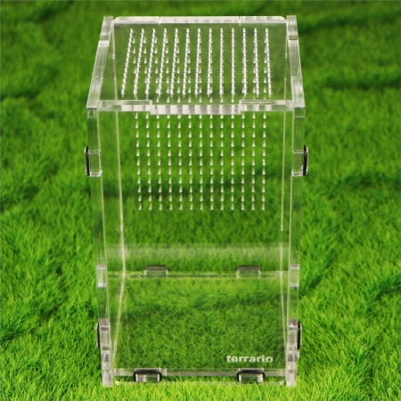 Terrario Mantis Area L - terrarium akrylowe dla modliszek i owadów-2135738