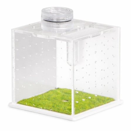 Terrario SpiderNook M - mini terrarium akrylowe z oświetleniem-2137222