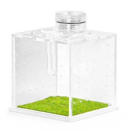 Terrario SpiderNook M - mini terrarium akrylowe z oświetleniem-2137223