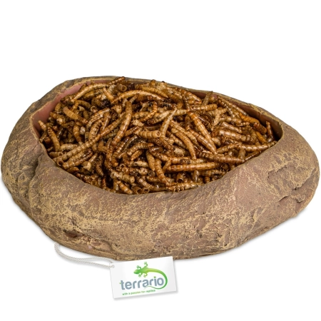 Terrario Rock Oasis L – Miska do Terrarium 17x15x4,5 cm-2137306
