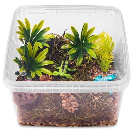 Terrario ReptiBox 19x19x12cm - przeźroczyste terrarium faunarium-2137388