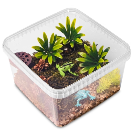 Terrario ReptiBox 19x19x12cm - przeźroczyste terrarium faunarium-2137389