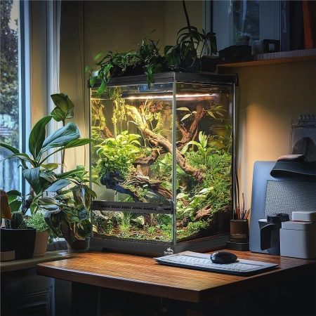 Terrario Oasis Verde 5 - terrarium 20x20x30cm-2137446