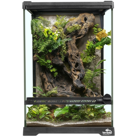Terrario Oasis Verde 5 - terrarium 20x20x30cm-2137450