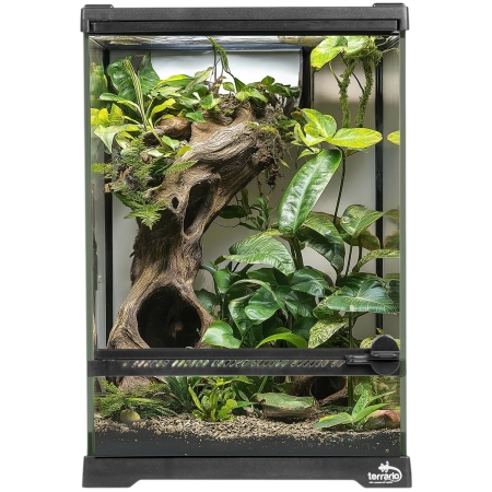 Terrario Oasis Verde 5 - terrarium 20x20x30cm-2137456