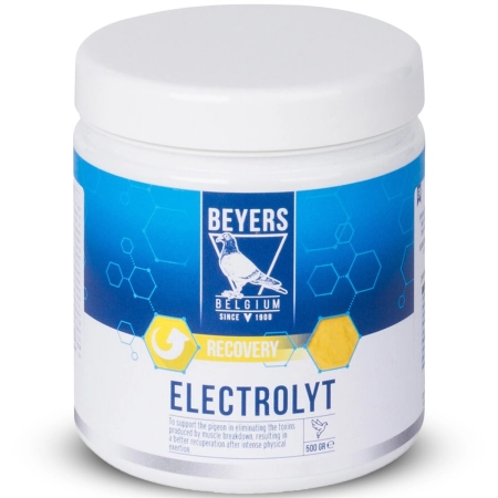 Beyers Electrolyt 500g - elektrolity dla gołębi sportowych