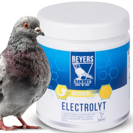 Beyers Electrolyt 500g - elektrolity dla gołębi sportowych-2137981