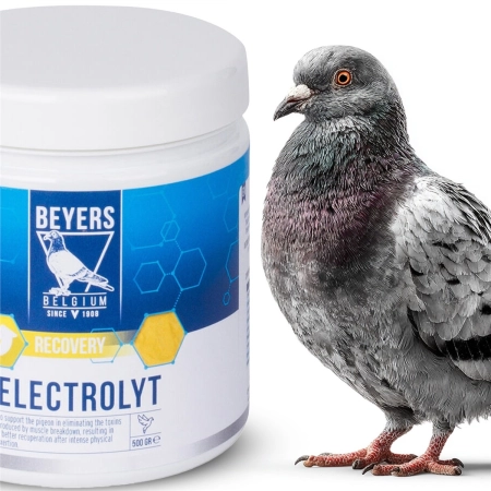 Beyers Electrolyt 500g - elektrolity dla gołębi sportowych-2137983