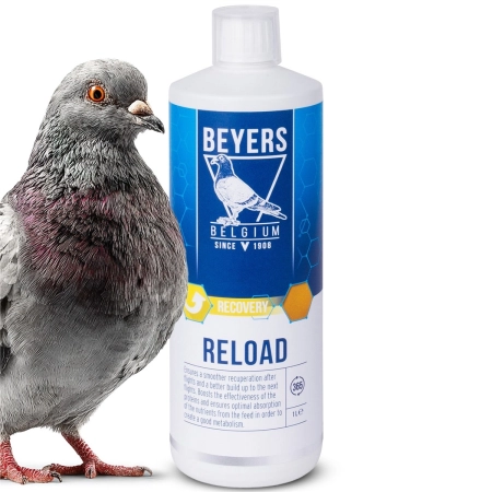 Beyers Reload 1000ml - koncentrat regeneracyjny-2137993