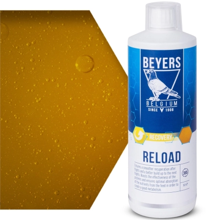 Beyers Reload 1000ml - koncentrat regeneracyjny-2137994