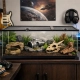 Repti-Zoo RAK terrarium szklane 75x30x25cm-2131031