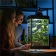 Terrario Biosphere Light - oprawka na żarówki grzewcze-2134772