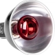 Terrario Biosphere Light - oprawka na żarówki grzewcze-2134782