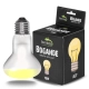 Terrario Bogande Basking Sun Light - żarówka grzewcza 75W-2134795
