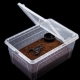 Terrario Terrarium Faunarium 26x18x13cm-2134825