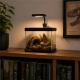 Terrario Frevo Clear Terrarium 20x20x17cm - terrarium szklane-2135099