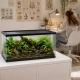 Terrario Frevo Clear Terrarium 50x30x30cm - terrarium szklane-2135127
