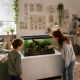 Terrario Frevo Clear Terrarium 50x30x30cm - terrarium szklane-2135128