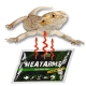 Terrario Heatarms Heat Pack 40H - ogrzewacz do transportu zwierząt - 1000 sztuk-2135353