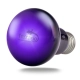 Terrario Manguna Moonlight Lamp - żarówka nocna 50W-2135729
